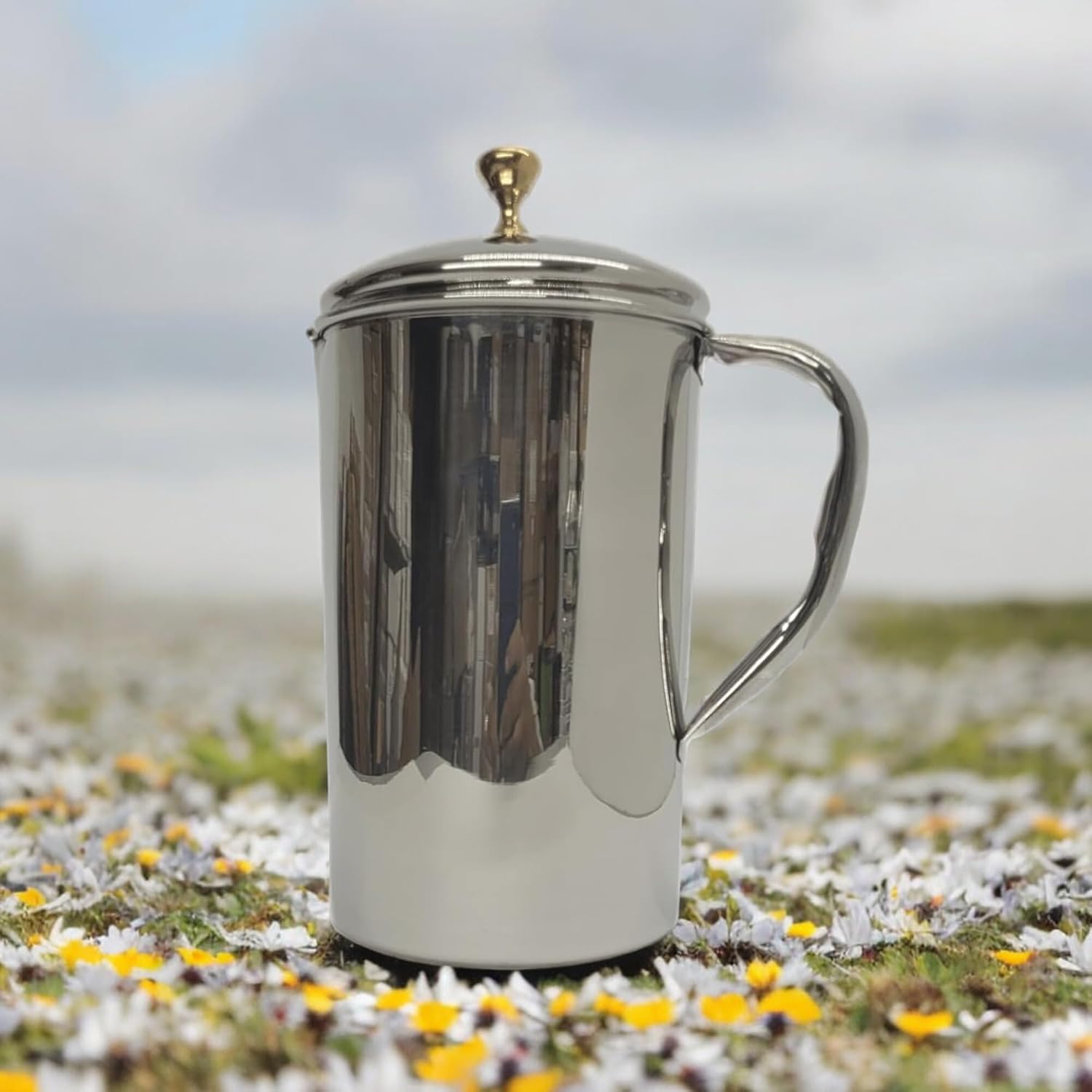 Stainless Steel Pitchers
